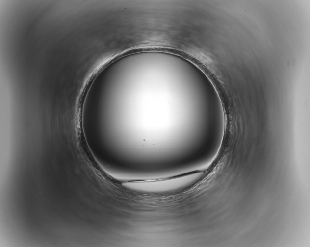 X0000094341366200711021443