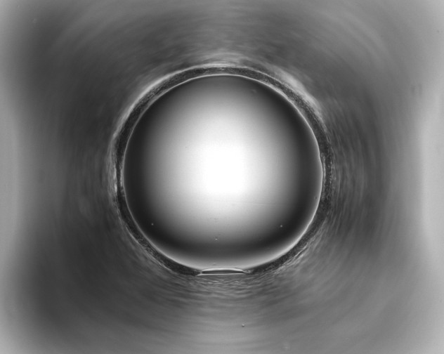 X0000094341368200711021443