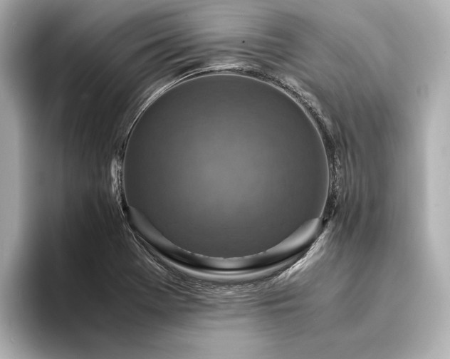 X0000094341369200711021443