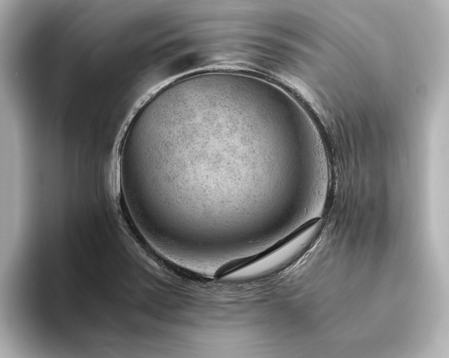 X0000094341371200711021443