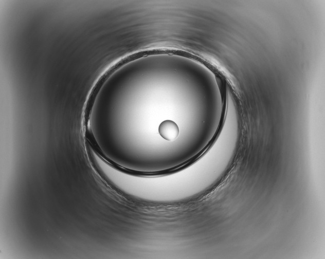 X0000094341372200711021443