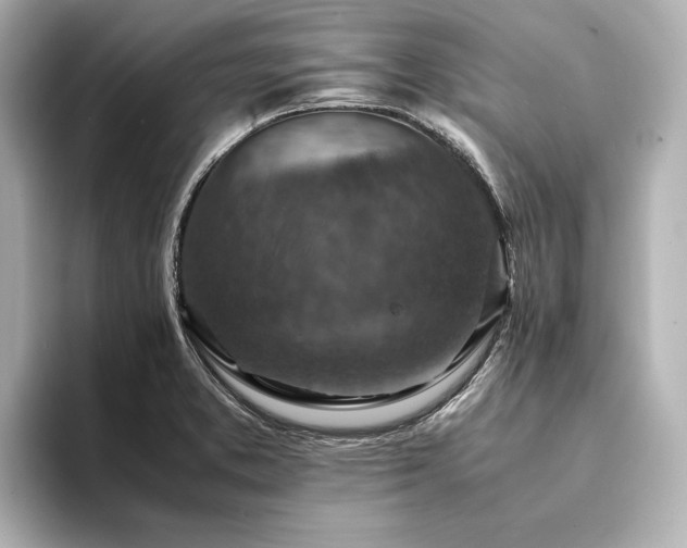 X0000094341373200711021443