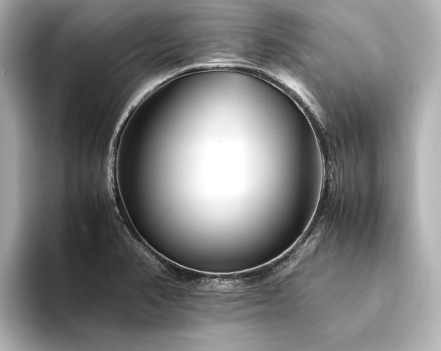 X0000094341374200711021443