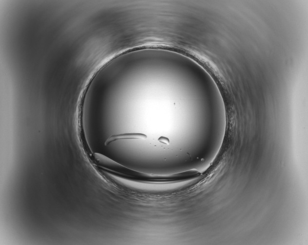 X0000094341375200711021443