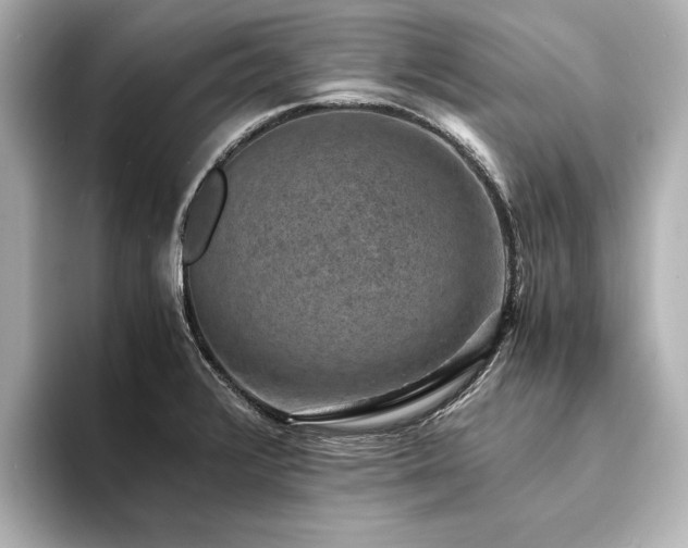 X0000094341376200711021443