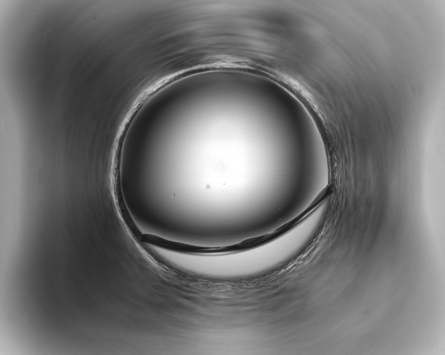 X0000094341379200711021443