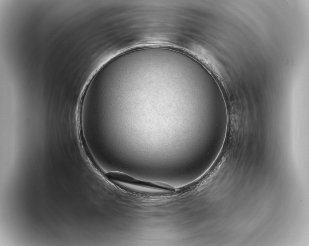 X0000094341382200711021443