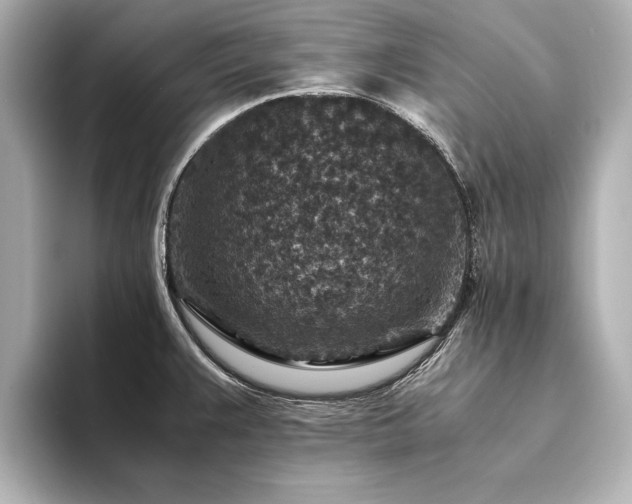 X0000094341383200711021443