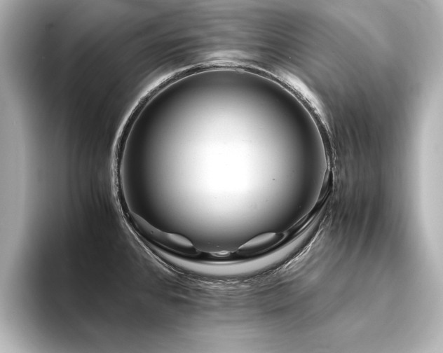 X0000094341384200711021443