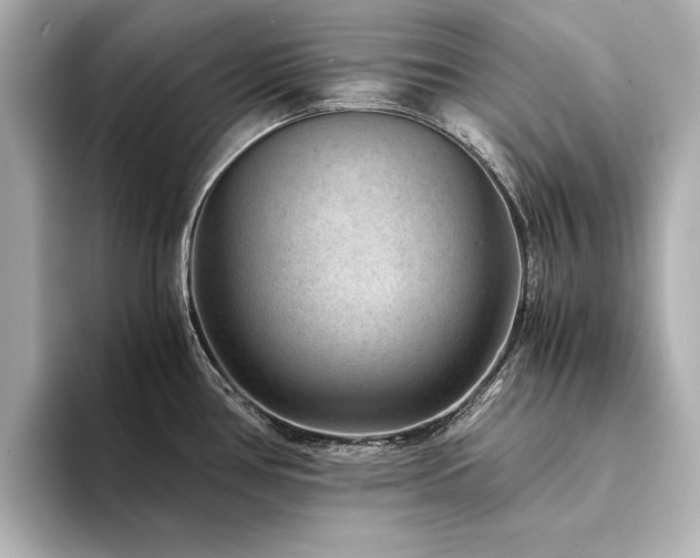 X0000094341386200711021443