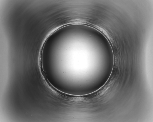 X0000094341387200711021443