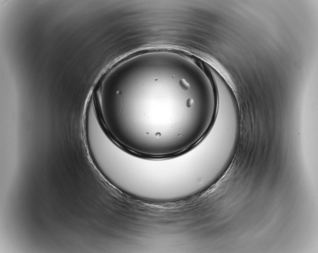 X0000094341388200711021443