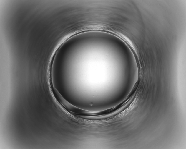 X0000094341389200711021443