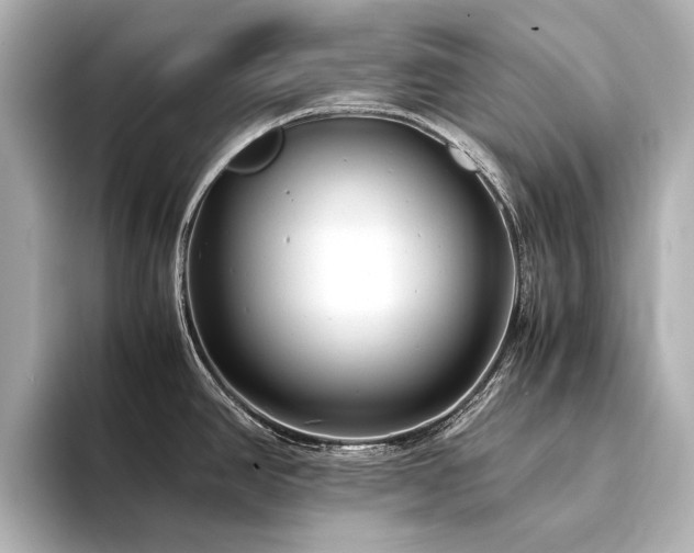 X0000094341390200711021443