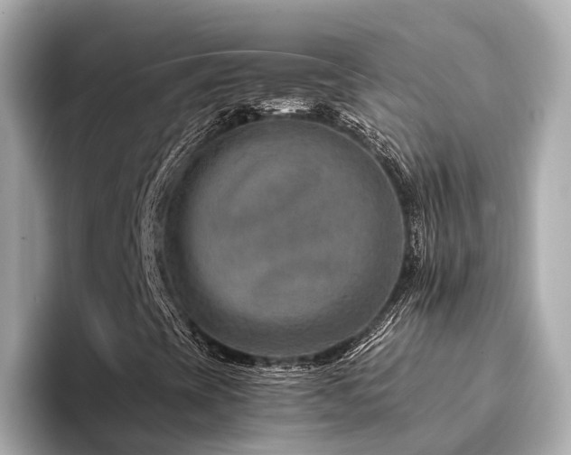 X0000094341393200711021442
