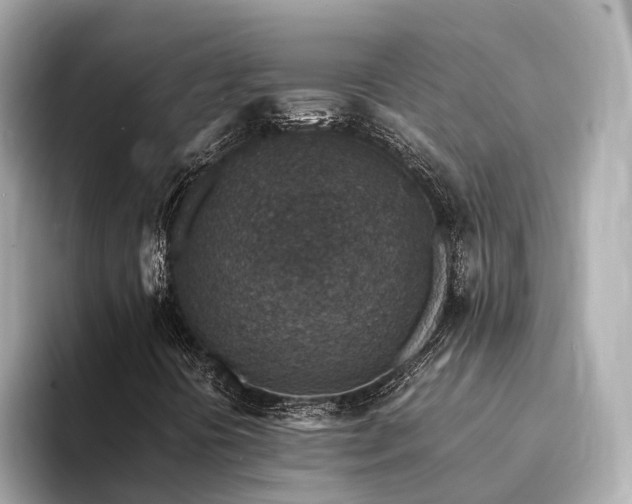 X0000094341394200711021442