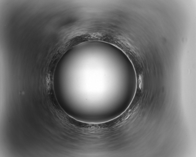 X0000094341395200711021442