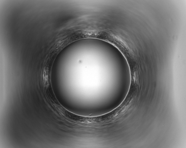 X0000094341396200711021442