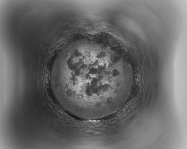 X0000094341397200711021442