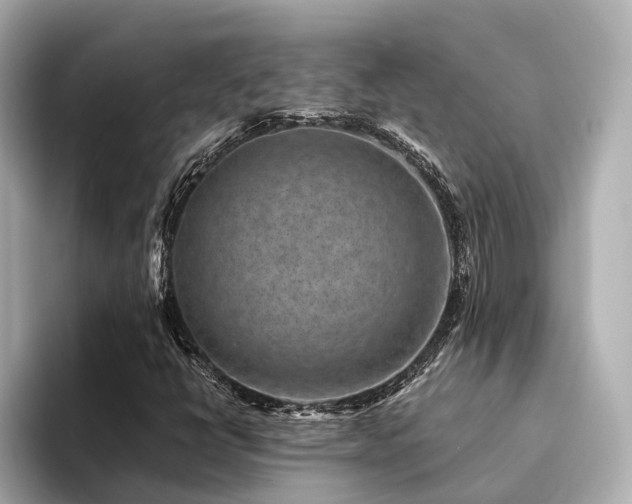 X0000094341398200711021442