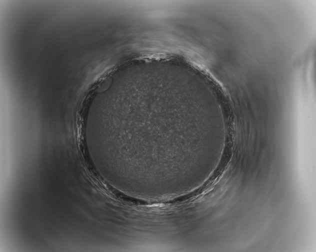 X0000094341399200711021442