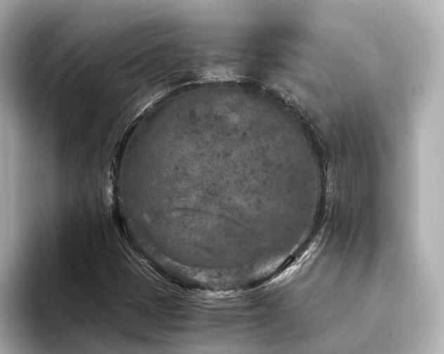 X0000094341401200711021442