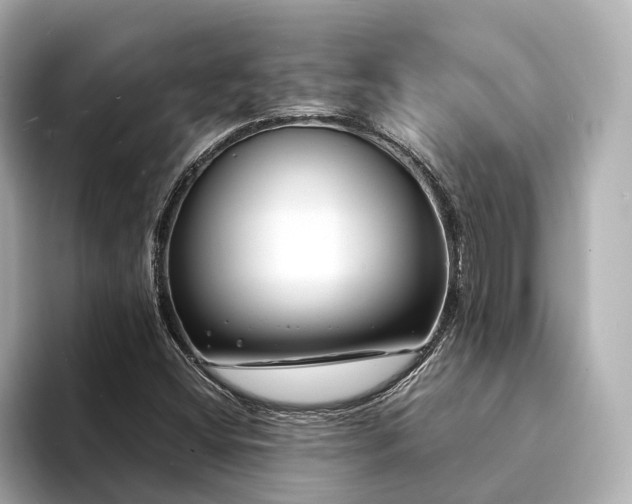 X0000094341404200711021442