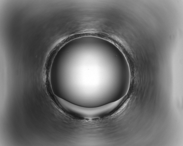 X0000094341406200711021442
