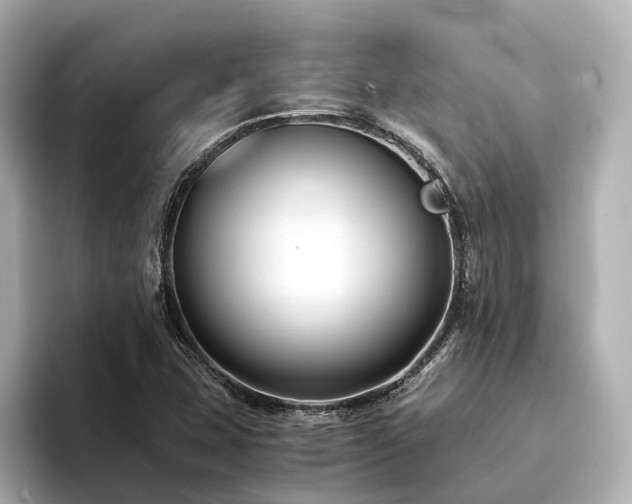 X0000094341407200711021442