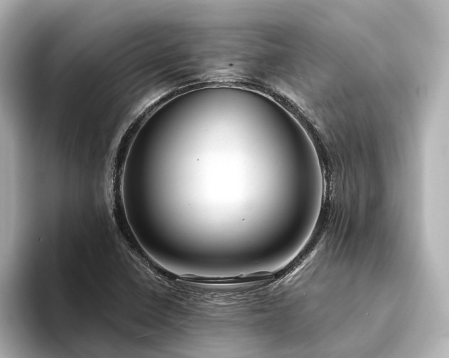 X0000094341410200711021442