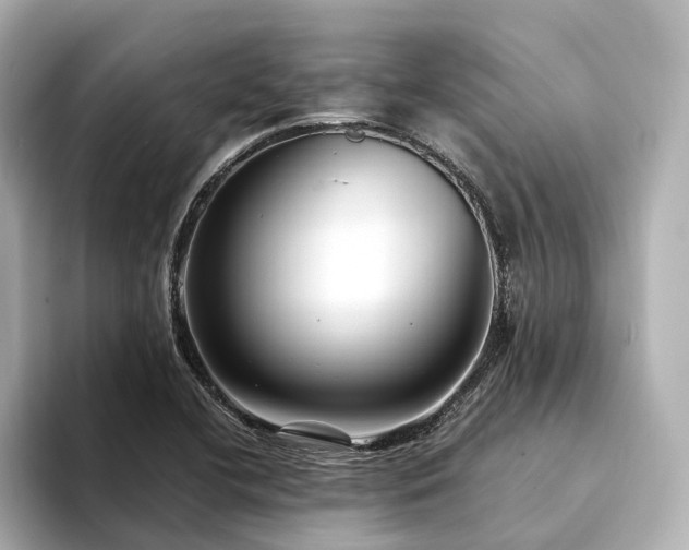 X0000094341412200711021442