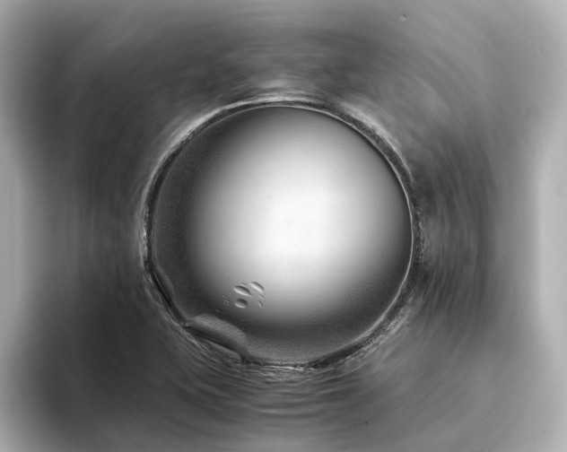 X0000094341415200711021442