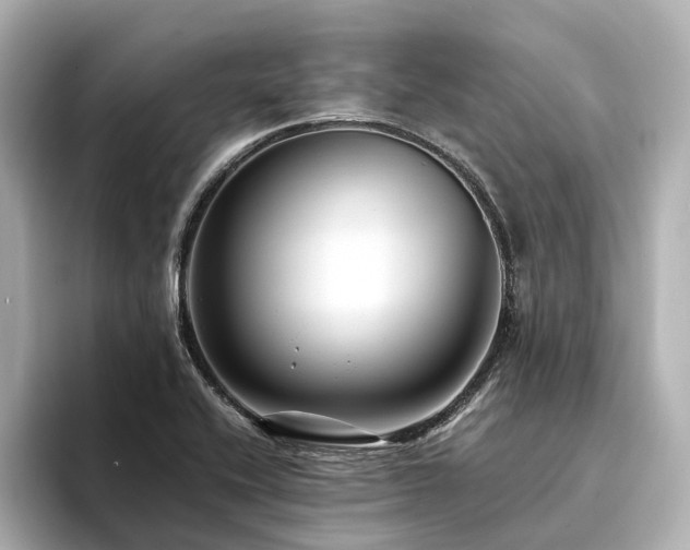 X0000094341416200711021442