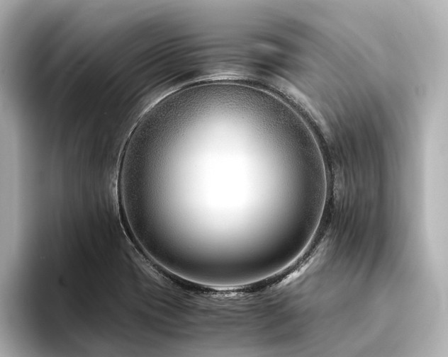 X0000094341417200711021442