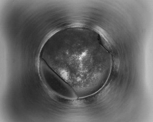 X0000094341418200711021442