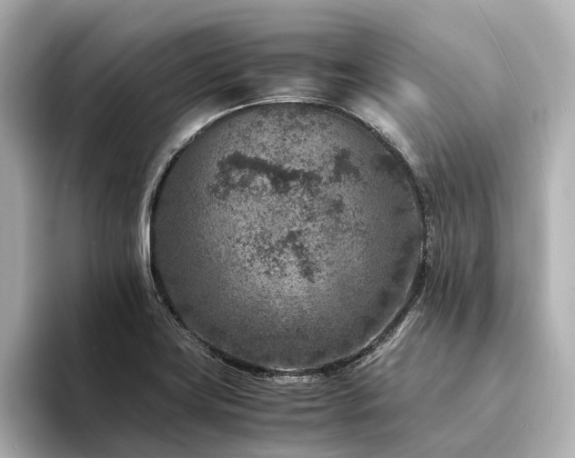 X0000094341419200711021442
