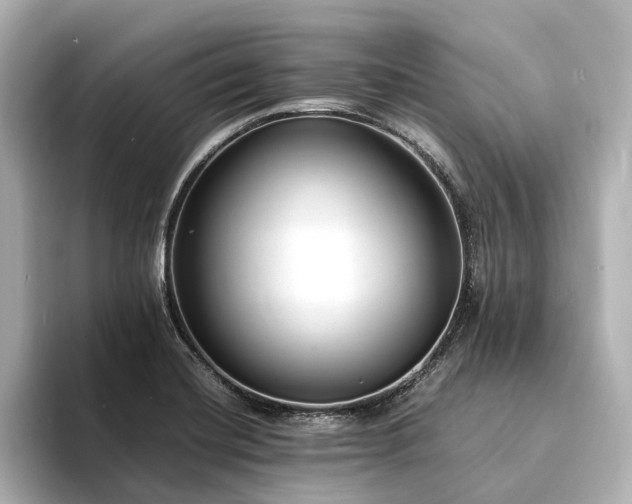X0000094341420200711021442
