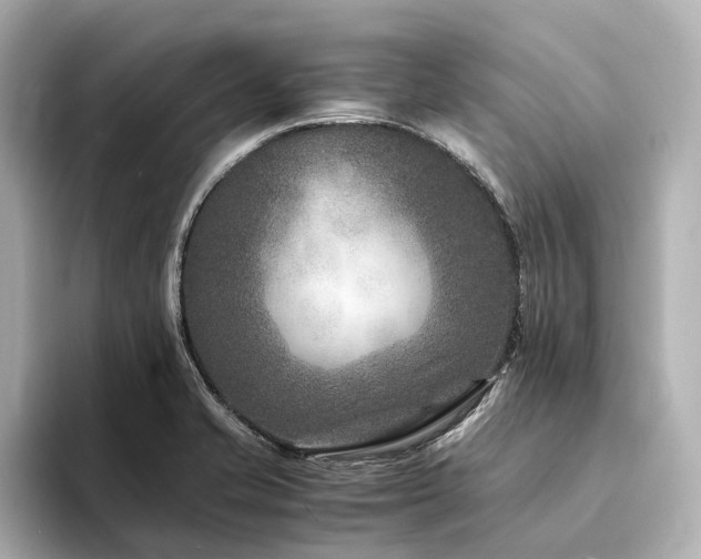 X0000094341421200711021443