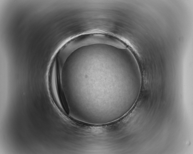 X0000094341422200711021443
