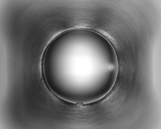 X0000094341423200711021443