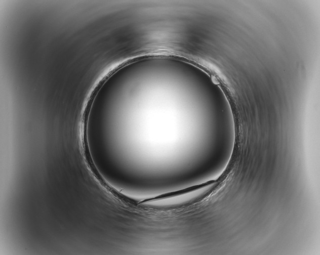 X0000094341424200711021443