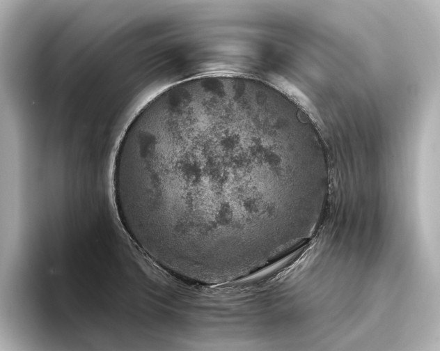 X0000094341427200711021443