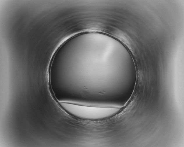 X0000094341428200711021443