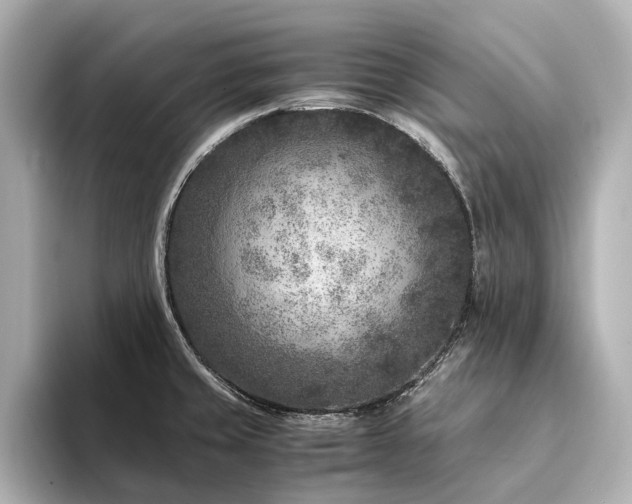 X0000094341429200711021443