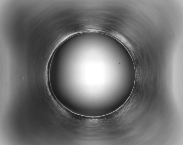 X0000094341431200711021443