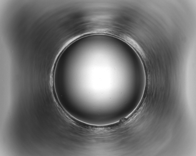 X0000094341436200711021443