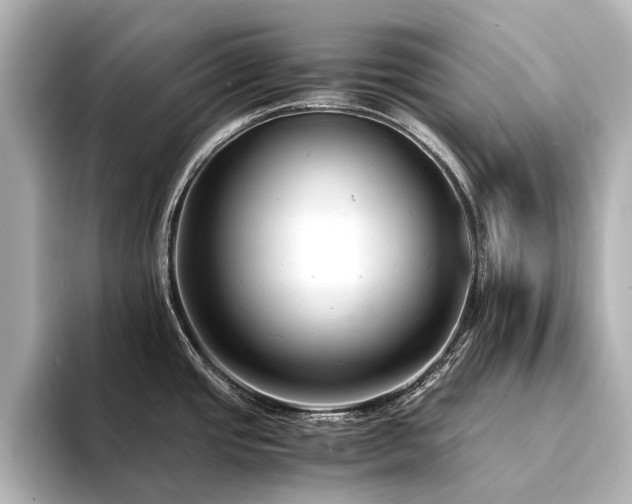 X0000094341437200711021443