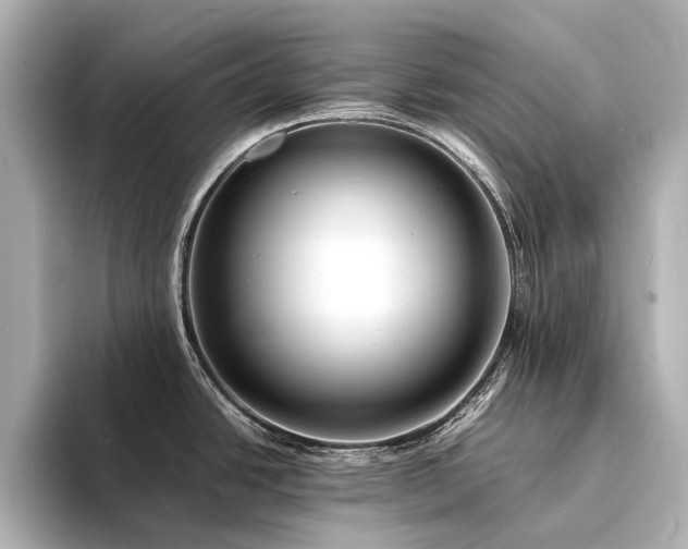 X0000094341438200711021443