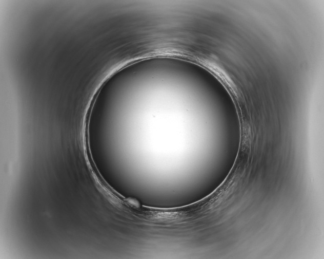 X0000094341439200711021443