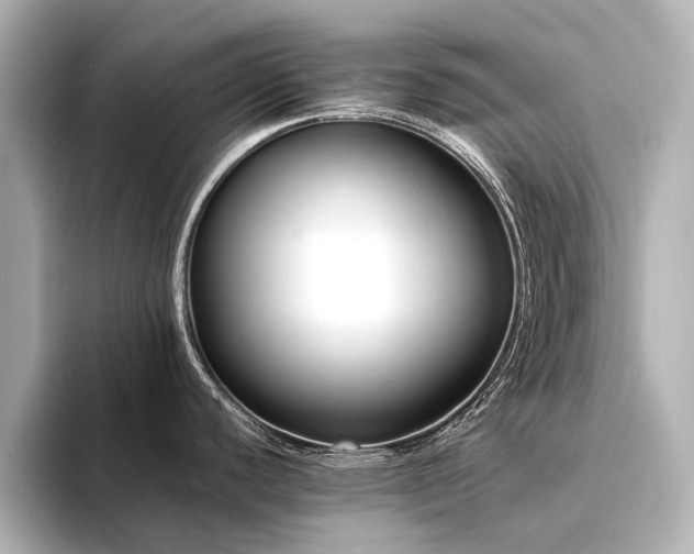 X0000094341440200711021443